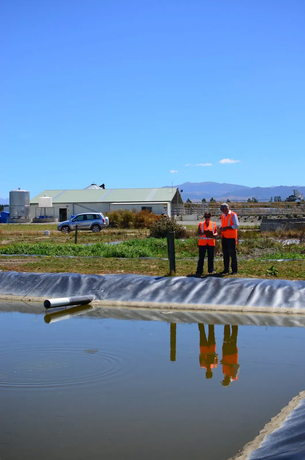 Environmental consultants inspecting a farm effluent pond in Canterbury.