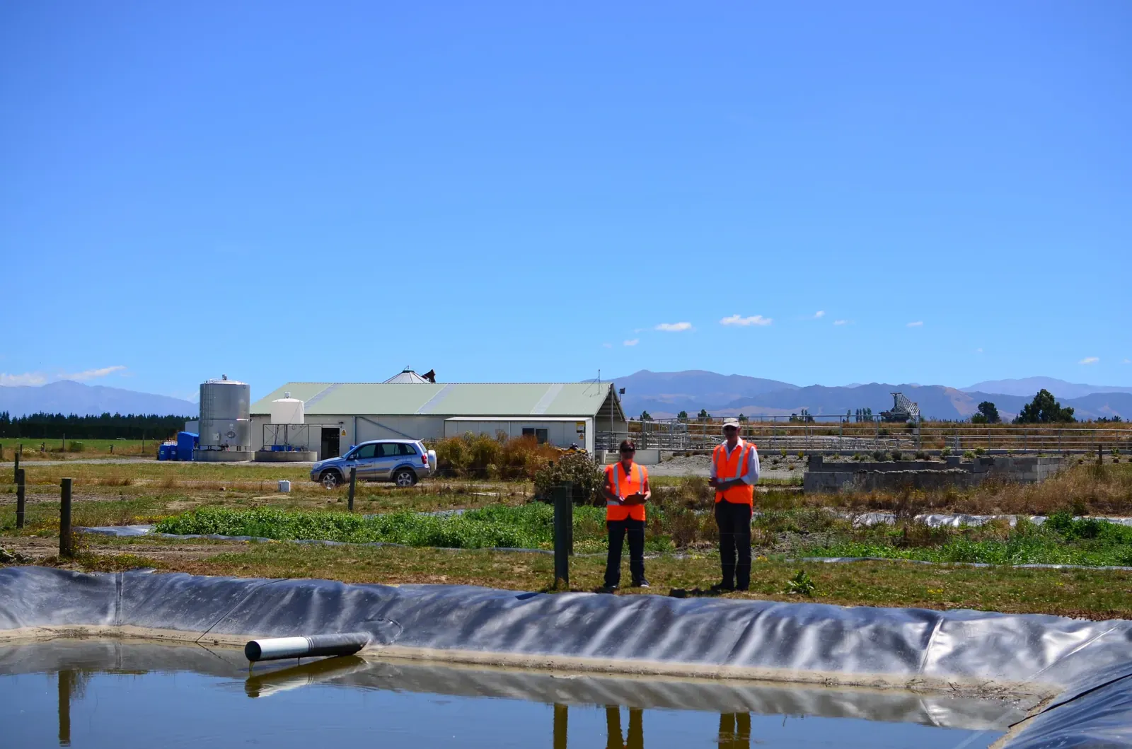 Consultants inspecting a farm effluent pond.