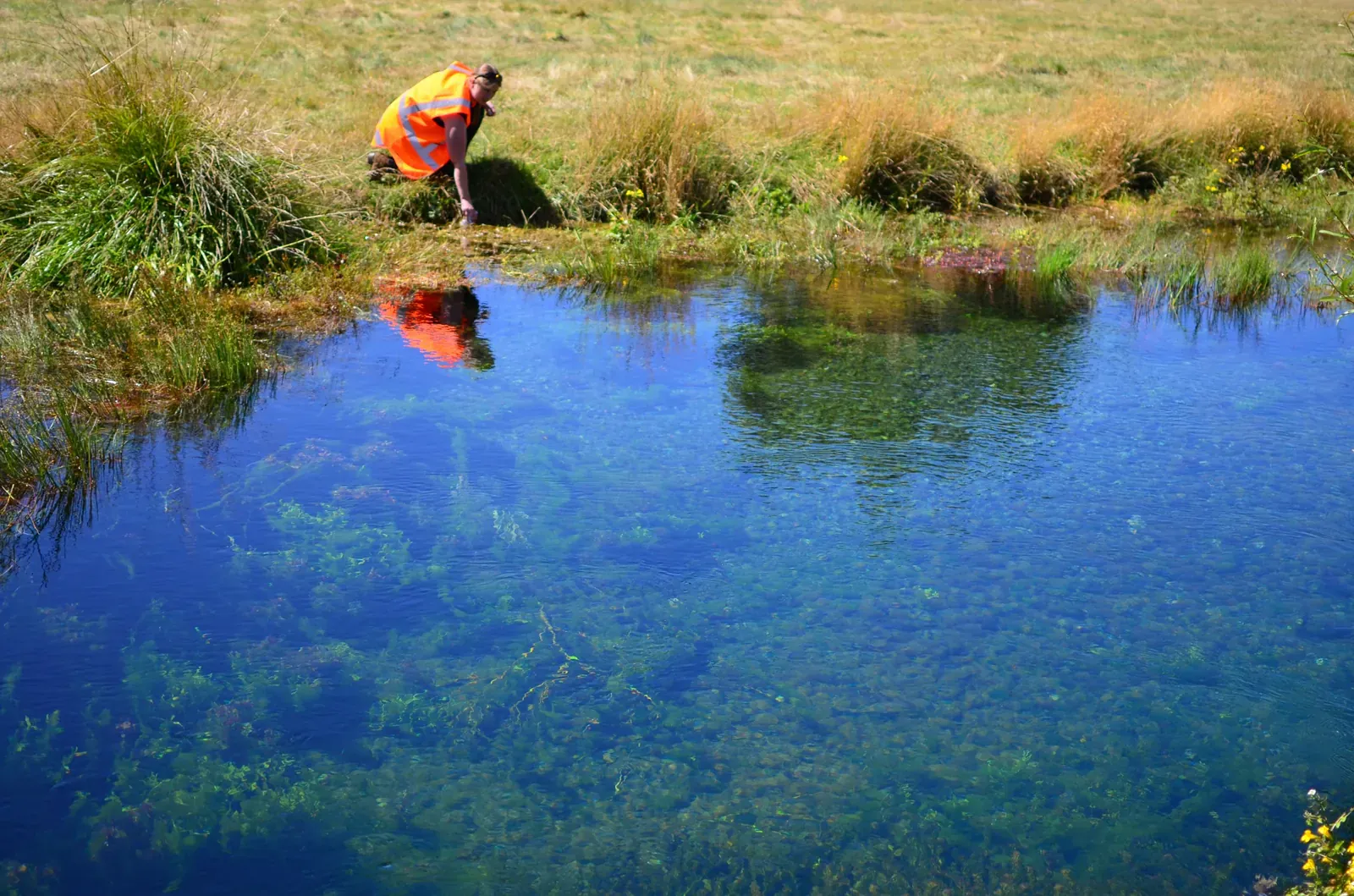 A fieldworker collecting measurements from a Canterbury surface-water channel.